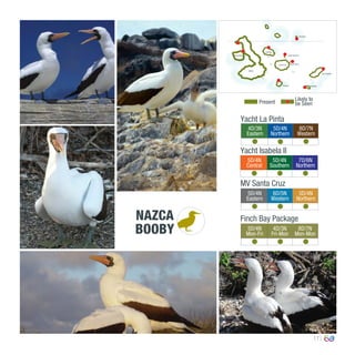 17
4D/3N
Eastern
5D/4N
Northern
8D/7N
Western
0º00’00’’
MV Santa Cruz
Yacht La Pinta
Present
Likely to
be Seen
Yacht Isabela II
5D/4N
Central
5D/4N
Southern
7D/6N
Northern
5D/4N
Eastern
6D/5N
Western
5D/4N
Northern
Finch Bay Package
5D/4N
Mon-Fri
4D/3N
Fri-Mon
8D/7N
Mon-Mon
NAZCA
BOOBY
EspañolaFloreana
San Cristóbal
South Plaza
Isabela
Santa Cruz
North Seymour
Santiago
Fernandina
Genovesa
 