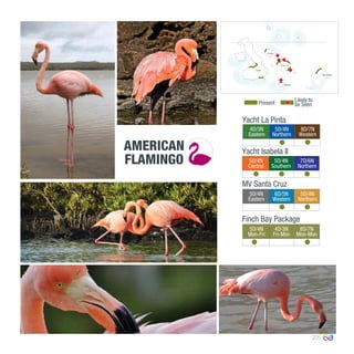 23
4D/3N
Eastern
5D/4N
Northern
8D/7N
Western
0º00’00’’
MV Santa Cruz
Yacht La Pinta
Yacht Isabela II
5D/4N
Central
5D/4N
Southern
7D/6N
Northern
5D/4N
Eastern
6D/5N
Western
5D/4N
Northern
Finch Bay Package
5D/4N
Mon-Fri
4D/3N
Fri-Mon
8D/7N
Mon-Mon
AMERICAN
FLAMINGO
Present
Likely to
be Seen
Floreana
San Cristóbal
Santa Cruz
Santiago
Isabela
 