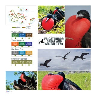 24
4D/3N
Eastern
5D/4N
Northern
8D/7N
Western
0º00’00’’
MV Santa Cruz
Yacht La Pinta
Yacht Isabela II
5D/4N
Central
5D/4N
Southern
7D/6N
Northern
5D/4N
Eastern
6D/5N
Western
5D/4N
Northern
Finch Bay Package
5D/4N
Mon-Fri
4D/3N
Fri-Mon
8D/7N
Mon-Mon
FRIGATEBIRDS:
GREAT AND
MAGNIFICENT
Present
Likely to
be Seen
EspañolaFloreana
San CristóbalSanta Fe
South Plaza
Isabela
Santa Cruz
North Seymour
Bartolomé
Santiago
Rábida
Pinzón
Fernandina
Genovesa
Marchena
 