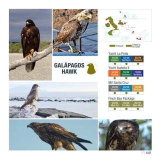 27
4D/3N
Eastern
5D/4N
Northern
8D/7N
Western
0º00’00’’
MV Santa Cruz
Yacht La Pinta
Yacht Isabela II
5D/4N
Central
5D/4N
Southern
7D/6N
Northern
5D/4N
Eastern
6D/5N
Western
5D/4N
Northern
Finch Bay Package
5D/4N
Mon-Fri
4D/3N
Fri-Mon
8D/7N
Mon-Mon
Present
Likely to
be Seen
GALÁPAGOS
HAWK
Española
Santa Fe
South Plaza
Isabela
Santa Cruz
Bartolomé
Santiago
Rábida
Fernandina
Marchena
 