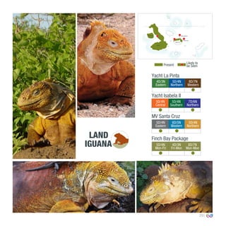29
LAND
IGUANA
4D/3N
Eastern
5D/4N
Northern
8D/7N
Western
0º00’00’’
MV Santa Cruz
Yacht La Pinta
Present
Likely to
be Seen
Yacht Isabela II
5D/4N
Central
5D/4N
Southern
7D/6N
Northern
5D/4N
Eastern
6D/5N
Western
5D/4N
Northern
Finch Bay Package
5D/4N
Mon-Fri
4D/3N
Fri-Mon
8D/7N
Mon-Mon
South Plaza
Isabela
Santa Cruz
North SeymourFernandina
 