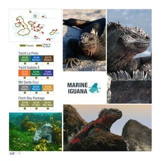 30
4D/3N
Eastern
5D/4N
Northern
8D/7N
Western
0º00’00’’
MV Santa Cruz
Yacht La Pinta
Yacht Isabela II
5D/4N
Central
5D/4N
Southern
7D/6N
Northern
5D/4N
Eastern
6D/5N
Western
5D/4N
Northern
Finch Bay Package
5D/4N
Mon-Fri
4D/3N
Fri-Mon
8D/7N
Mon-Mon
Present
Likely to
be Seen
MARINE
IGUANA
EspañolaFloreana
San CristóbalSanta Fe
South Plaza
Isabela
Santa Cruz
North Seymour
Bartolomé
Santiago
Rábida
Pinzón
Fernandina
GenovesaMarchena
 