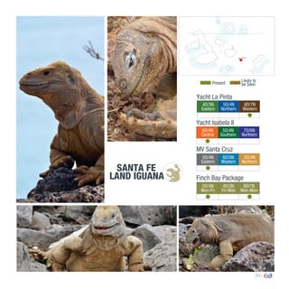 33
4D/3N
Eastern
5D/4N
Northern
8D/7N
Western
0º00’00’’
MV Santa Cruz
Yacht La Pinta
Yacht Isabela II
5D/4N
Central
5D/4N
Southern
7D/6N
Northern
5D/4N
Eastern
6D/5N
Western
5D/4N
Northern
Finch Bay Package
5D/4N
Mon-Fri
4D/3N
Fri-Mon
8D/7N
Mon-Mon
Present
Likely to
be Seen
SANTA FE
LAND IGUANA
Santa Fe
 