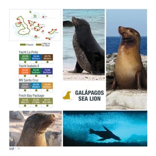 36
4D/3N
Eastern
5D/4N
Northern
8D/7N
Western
0º00’00’’
MV Santa Cruz
Yacht La Pinta
Yacht Isabela II
5D/4N
Central
5D/4N
Southern
7D/6N
Northern
5D/4N
Eastern
6D/5N
Western
5D/4N
Northern
Finch Bay Package
5D/4N
Mon-Fri
4D/3N
Fri-Mon
8D/7N
Mon-Mon
GALÁPAGOS
SEA LION
Present
Likely to
be Seen
EspañolaFloreana
San CristóbalSanta Fe
South Plaza
Isabela
Santa Cruz
Baltra
North Seymour
Bartolomé
Santiago
Rábida
Pinzón
Fernandina
Genovesa
Marchena
 