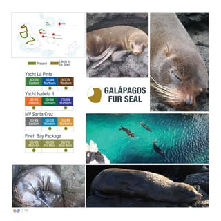 38
4D/3N
Eastern
5D/4N
Northern
8D/7N
Western
0º00’00’’
MV Santa Cruz
Yacht La Pinta
Yacht Isabela II
5D/4N
Central
5D/4N
Southern
7D/6N
Northern
5D/4N
Eastern
6D/5N
Western
5D/4N
Northern
Finch Bay Package
5D/4N
Mon-Fri
4D/3N
Fri-Mon
8D/7N
Mon-Mon
GALÁPAGOS
FUR SEAL
Present
Likely to
be Seen
South Plaza
Isabela
North Seymour
Santiago
Rábida
Fernandina
Genovesa
Marchena
 