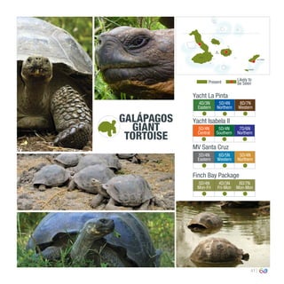 41
GALÁPAGOS
4D/3N
Eastern
5D/4N
Northern
8D/7N
Western
GIANT
TORTOISE
0º00’00’’
MV Santa Cruz
Yacht La Pinta
Yacht Isabela II
5D/4N
Central
5D/4N
Southern
7D/6N
Northern
5D/4N
Eastern
6D/5N
Western
5D/4N
Northern
Finch Bay Package
5D/4N
Mon-Fri
4D/3N
Fri-Mon
8D/7N
Mon-Mon
Present
Likely to
be Seen
Española
San Cristóbal
Isabela
Santa Cruz
Santiago
Pinzón
 