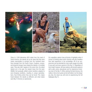 47
Close to 1,000 kilometres (620 miles) from the coast of
South America, the islands are so far away that they were
nearly inaccessible to animals from the mainland when
they emerged from the Pacific Ocean. Eruptions, erosion,
and physical changes have shaped the islands in incredible
ways. They also didn’t appear at the same time: the oldest
islands are in the east, the newest rising from the west.
Wildlife that gradually settled certain locations adapted to
ever-changing conditions, resulting in unique specialisa-
tions, thus limiting where they can be found. This makes
travel between the islands so different, and what makes
each Big 15 itinerary so spectacular.
Our expedition options have all kinds of highlights when it
comes to thinking about which itinerary will give travellers
their best experience in the archipelago. All of our pro-
grammes can be extended for a two-week voyage to be able
to see each and every species of the Big 15. Regardless of
their length however, all these options will provide explorers
with a safe, active, educational, and fun experience includ-
ing most of the Big 15. When picking the best itinerary, the
reality is that all are great and all will deliver, but the longer
you stay, the closer you will come to experiencing the full
Galápagos Big 15.
 