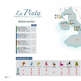 50
Itineraries
GALÁPAGOS BIG 15
N
E
NE
W
Red-footed BoobyBlue-footed Booby Nazca Booby
Frigatebirds: Great
and MagniﬁcentGalápagos Albatross Galápagos HawkFlightless
Cormorant
American Flamingo
ROUTE
4D-3N ITINERARY
EASTERN GALÁPAGOS
FRIDAY TO MONDAY
SAN CRISTÓBAL - BALTRA
5D-4N ITINERARY
NORTHERN GALÁPAGOS
MONDAY TO FRIDAY
BALTRA - BALTRA
8D-7N ITINERARY
WESTERN GALÁPAGOS
FRIDAY TO FRIDAY
BALTRA - SAN CRISTÓBAL
8D-7N ITINERARY
EASTERN AND NORTHERN
GALÁPAGOS
FRIDAY TO FRIDAY
SAN CRISTÓBAL - BALTRA
E
E
N
N
W
PuntaVicente Roca
Tagus Cove
PuntaEspinoza
UrbinaBay
Isabela
Fernandina
 