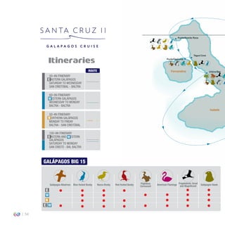 54
Itineraries
ROUTE
5D-4N ITINERARY
EASTERN GALÁPAGOS
SATURDAY TO WEDNESDAY
SAN CRISTÓBAL - BALTRA
6D-5N ITINERARY
WESTERN GALÁPAGOS
WEDNESDAY TO MONDAY
BALTRA - BALTRA
5D-4N ITINERARY
NORTHERN GALÁPAGOS
MONDAY TO FRIDAY
BALTRA - SAN CRISTÓBAL
10D-9N ITINERARY
EASTERN AND WESTERN
GALÁPAGOS
SATURDAY TO MONDAY
SAN CRISTÓ - BAL BALTRA
E
E
N
W
W
PuntaVicente Roca
Tagus Cove
PuntaEspinoza
UrbinaBay
Isabela
Fernandina
GALÁPAGOS BIG 15
Red-footed BoobyBlue-footed Booby Nazca Booby
Frigatebirds: Great
and MagniﬁcentGalápagos Albatross Galápagos HawkFlightless
Cormorant
American Flamingo
E
W
WE
N
 