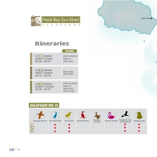 56
Itineraries
5D-4N ITINERARY
MONDAY TO FRIDAY
BALTRA - BALTRA
4D-3N ITINERARY
FRIDAY TO MONDAY
BALTRA - BALTRA
ISLANDS
NORTH SEYMOUR
SANTA FE
SANTA CRUZ
NORTH SEYMOUR
SANTA FE
SANTA CRUZ
SOUTH PLAZA
BARTOLOME
SANTA CRUZ
4N
3N
8D-7N ITINERARY
MONDAY TO MONDAY
BALTRA - BALTRA
7N
GALÁPAGOS BIG 15
Red-footed BoobyBlue-footed Booby Nazca Booby
Frigatebirds: Great
and MagniﬁcentGalápagos Albatross Galápagos HawkFlightless
Cormorant
American Flamingo
4N
3N
7N
Sullivan Bay
 