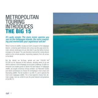 6
When it comes to wildlife, no place on Earth compares to the Galápagos
Islands. Lumbering giant tortoises and curious sea lion pups amid dra-
matic volcanic landscapes let you feel what it was like before humans
emerged on the planet. The vast diversity of animal life is what attracts
visitors to this remote paradise, impressing explorers from all corners
of the World.
But the islands are far-flung, spread out over 138,000 Km
(53,300 sq mi). Because of this vastness, deciding where to go and
what to observe in the archipelago can be quite a challenge.To tailor our
itineraries and enable guests to absorb the best balance of Galápagos
wildlife, we sought consensus among scholars, our Naturalist Guides
and island connoisseurs to choose the archipelago’s most unique and
fascinating wildlife. The list resulted in our BIG 15, and it captures the
most iconic Galápagos wildlife. This is how explorers choose their ulti-
mate voyage; here we unfold for you the great features and greatness
of the BIG 15.
METROPOLITAN
TOURING
INTRODUCES
THE BIG 15
It’s quite simple: The more iconic species you
see on the Galápagos Islands, the more reward-
ing and memorable your experience will be!
2
 