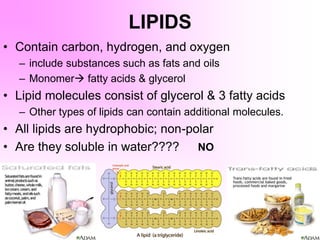 LIPIDS
• Contain carbon, hydrogen, and oxygen
– include substances such as fats and oils
– Monomer fatty acids & glycerol
• Lipid molecules consist of glycerol & 3 fatty acids
– Other types of lipids can contain additional molecules.
• All lipids are hydrophobic; non-polar
• Are they soluble in water???? NO
 