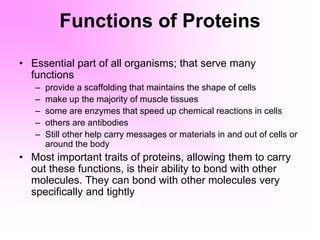 Functions of Proteins
• Essential part of all organisms; that serve many
functions
– provide a scaffolding that maintains the shape of cells
– make up the majority of muscle tissues
– some are enzymes that speed up chemical reactions in cells
– others are antibodies
– Still other help carry messages or materials in and out of cells or
around the body
• Most important traits of proteins, allowing them to carry
out these functions, is their ability to bond with other
molecules. They can bond with other molecules very
specifically and tightly
 