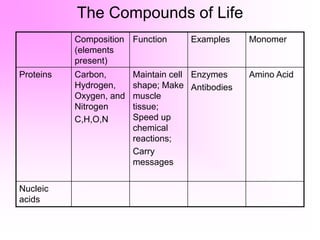 The Compounds of Life
Composition
(elements
present)
Function Examples Monomer
Proteins Carbon,
Hydrogen,
Oxygen, and
Nitrogen
C,H,O,N
Maintain cell
shape; Make
muscle
tissue;
Speed up
chemical
reactions;
Carry
messages
Enzymes
Antibodies
Amino Acid
Nucleic
acids
 