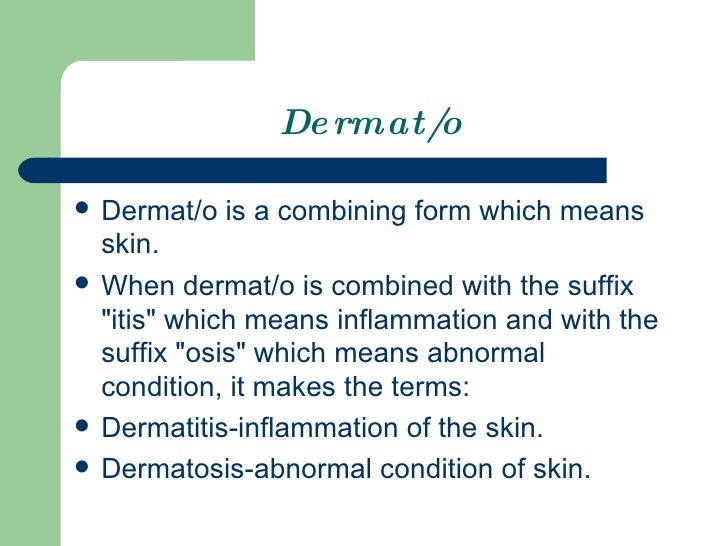 the 20 integumentary 20 system 1 what is a combining form meaning skin