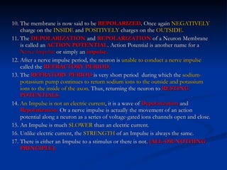Repolarized Nervous System | PPT