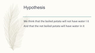 Hypothesis
We think that the boiled potato will not have water I it
And that the not boiled potato will have water in it
 