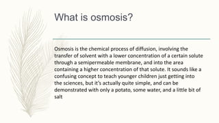 What is osmosis?
Osmosis is the chemical process of diffusion, involving the
transfer of solvent with a lower concentration of a certain solute
through a semipermeable membrane, and into the area
containing a higher concentration of that solute. It sounds like a
confusing concept to teach younger children just getting into
the sciences, but it’s actually quite simple, and can be
demonstrated with only a potato, some water, and a little bit of
salt
 