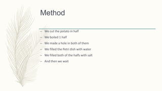 Method
– We cut the potato in half
– We boiled 1 half
– We made a hole in both of them
– We filled the Petri dish with water
– We filled both of the halfs with salt
– And then we wait
 