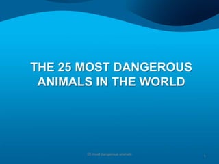 THE 25 MOST DANGEROUS
 ANIMALS IN THE WORLD




       25 most dangerous animals
                                   1
 