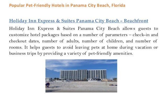 The 3 Best Pet Friendly Hotels In Panama City Beach Fl