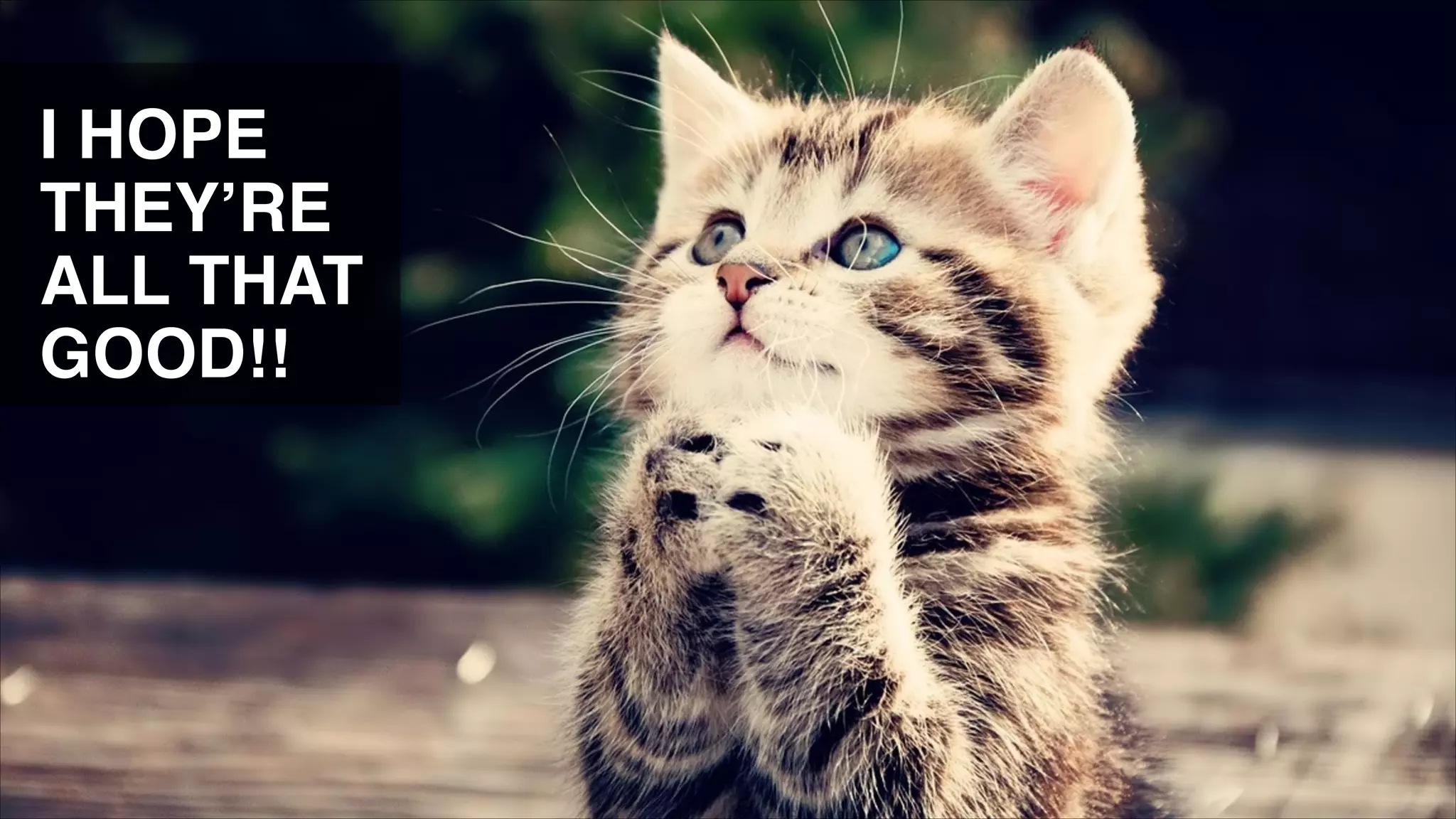 I HOPE
THEY’RE
ALL THAT
GOOD!!

 