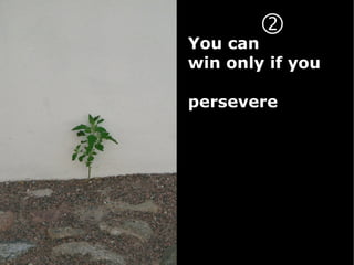 
You can
win only if you

persevere
 