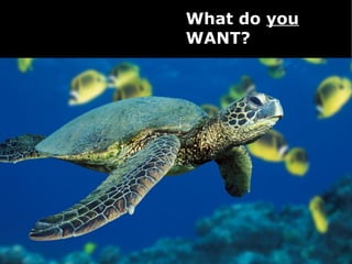 What do you
WANT?
 
