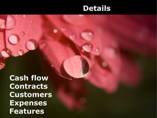 Details




Cash flow
Contracts
Customers
Expenses
Features
 