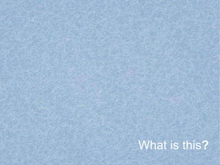 What is this ? 