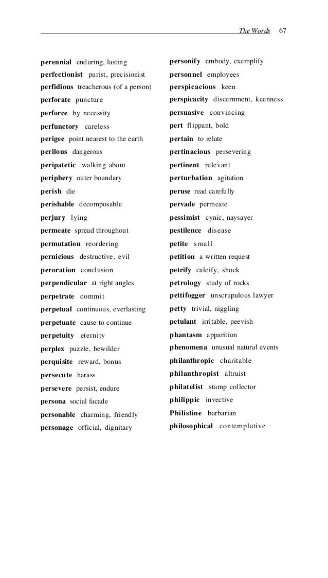 Another word for plunderer or robber