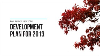 development
plan FOR 2013
PAUL BINDER, NEW YORK
 