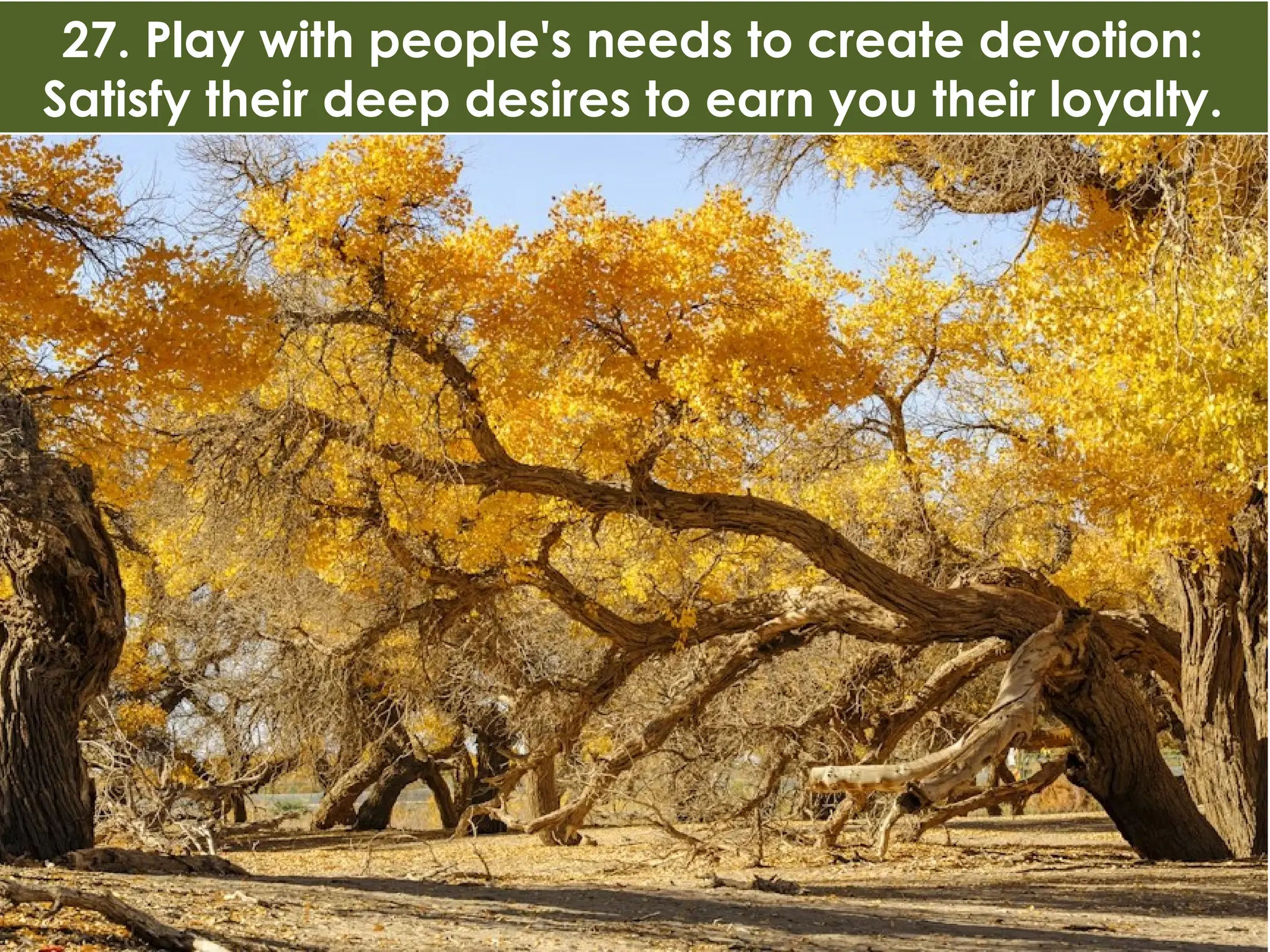 27. Play with people's needs to create devotion:
Satisfy their deep desires to earn you their loyalty.
 