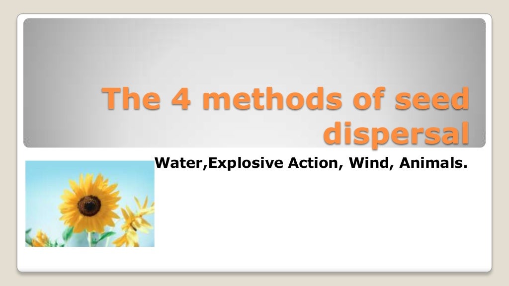 The 4 methods of seed dispersal
