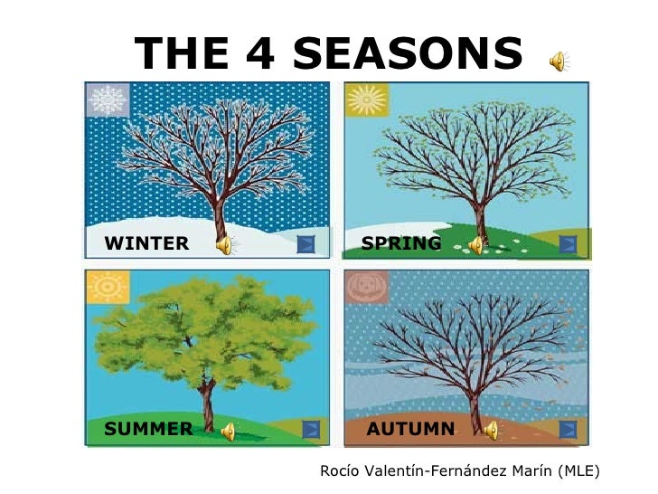 The 4 Seasons