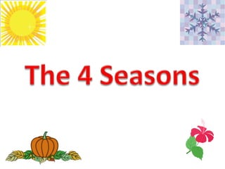 The 4 Seasons 
