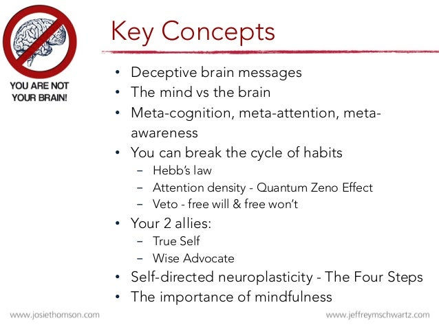 You Are Not Your Brain Presented By Dr Jeffrey M Schwartz And Josep