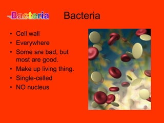 BacteriaCell wallEverywhereSome are bad, but most are good.Make up living thing. Single-celledNO nucleus  Bacteria