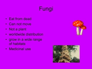 FungiEat from deadCan not move Not a plantworldwide distribution grow in a wide range of habitats Medicinal use 