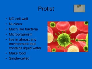 ProtistNO cell wallNucleusMuch like bacteriaMicroorganism live in almost any environment that contains liquid water Make foodSingle-celled 
