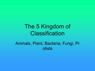 The 5 Kingdom of Classification Animals, Plant, Bacteria, Fungi, Protists   