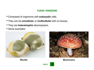 FUNGI KINGDOM
• They are heterotrophic decomposers.
Mushrooms
• They can be unicellular, or multicellular with no tissues.
• Composed of organisms with eukaryotic cells.
Moulds
• Some examples:
BACK