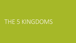 THE 5 KINGDOMS
 
