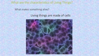 What are the characteristics of Living Things?
What makes something alive?
Living things are made of cells