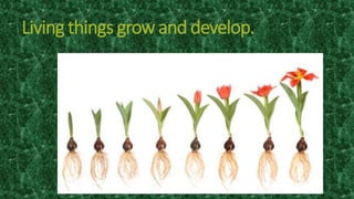 Living things grow and develop.
Living things grow and develop.