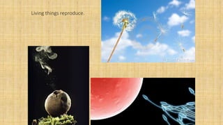 Living things reproduce.