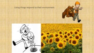 Living things respond to their environment.