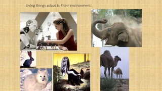 Living things adapt to their environment.