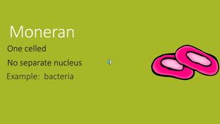 Moneran
Example: bacteria
One celled
No separate nucleus