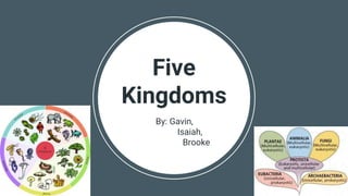 Five
Kingdoms
By: Gavin,
Isaiah,
Brooke
 